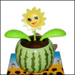 "Solar Decorative Item-004 - Click here to View more details about this Product